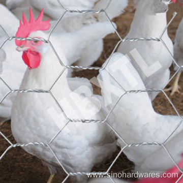 Electric Galvanized Poultry Fence Chicken Wire Mesh